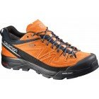 X-ALP LTR GTX - Clementine/Bl/Alu