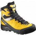 X ALP MTN GTX - black/bee/alu